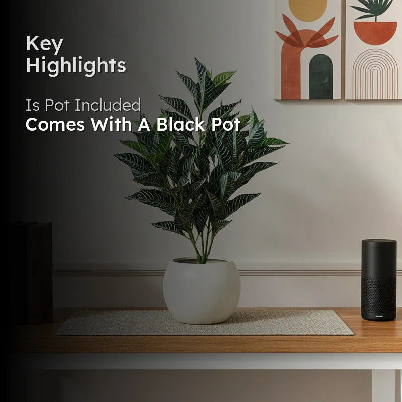 Faux Deco Rubber Plant With Black Plastic Pot - 2.79 ft media 2