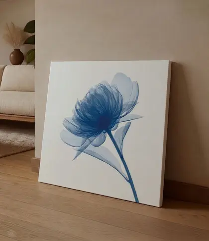 Cotton Canvas
