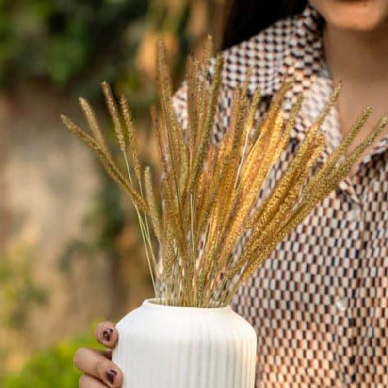 Naturally Dried Rustic Millet Grass media 3