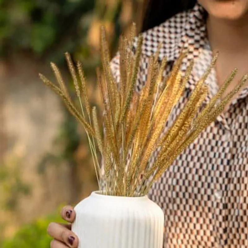 Naturally Dried Rustic Millet Grass media 3