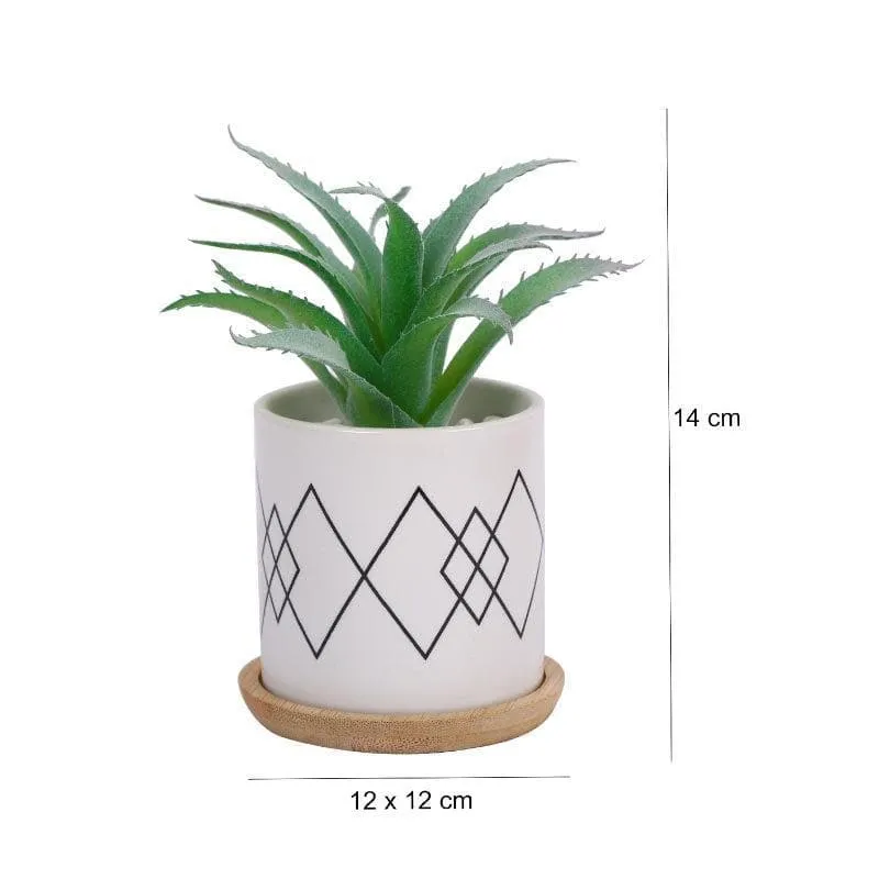 Faux Aloe Vera In Minimalist Pot - 14 cms media 5