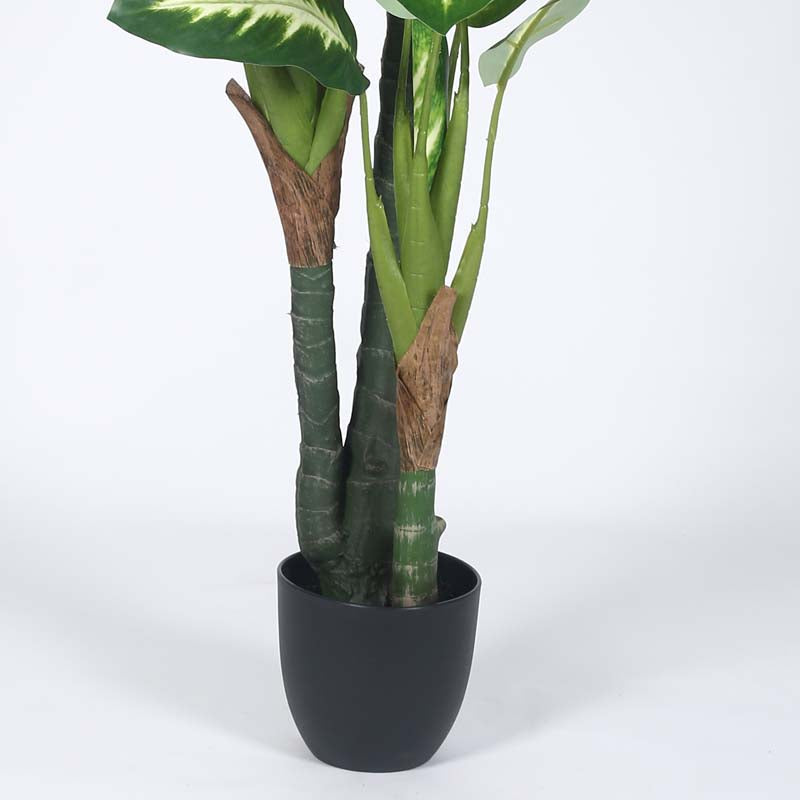 Faux Lush Variegated Dieffenbachia Plant With Black Plastic Pot - 5.2 Feet media 4