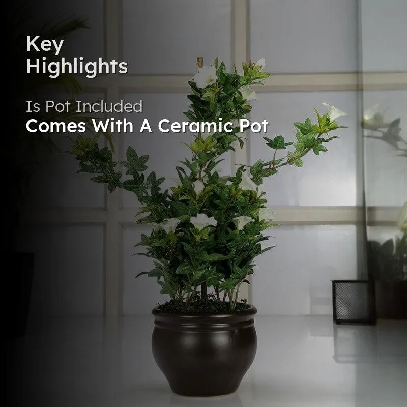 Faux Tall Morning Glory Bonsai In Ceramic Pot (50 cms) - Green & Brown media 2