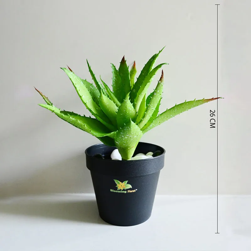 Alvera Artificial Aloe Vera Plant With Black Plastic Pot - Green | Vaaree