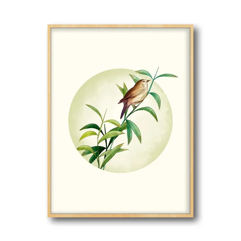 Birdsong Bliss Botanical Archival Paper Wall Art - Natural Brown Frame media 5