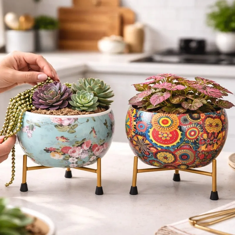 BloomCraft Pots & Planter - Set of Two media 6