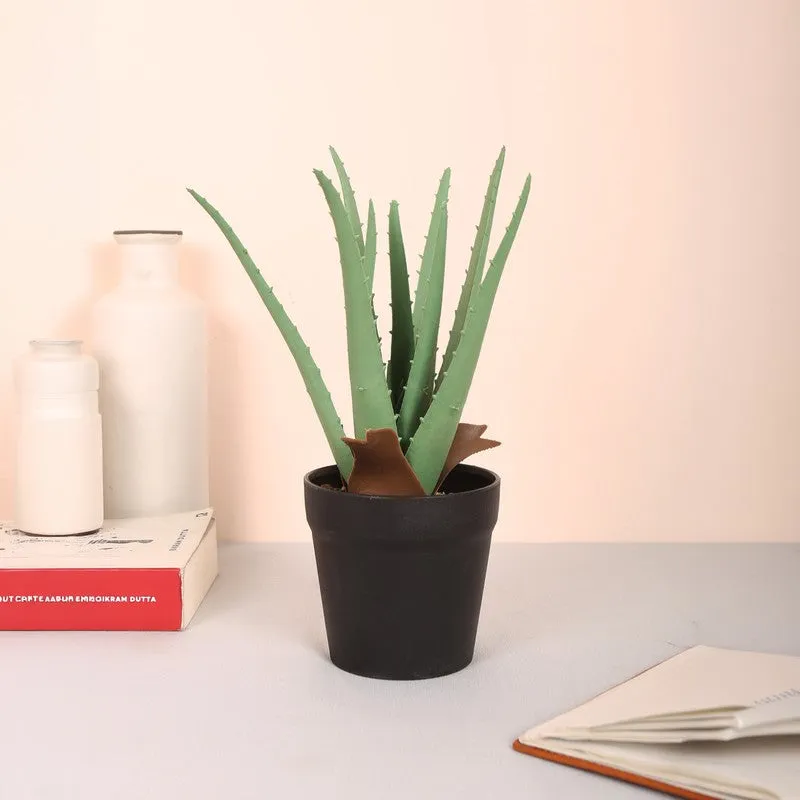 Healing Aloe Vera Artificial Plant With Black Plastic Pot media 3