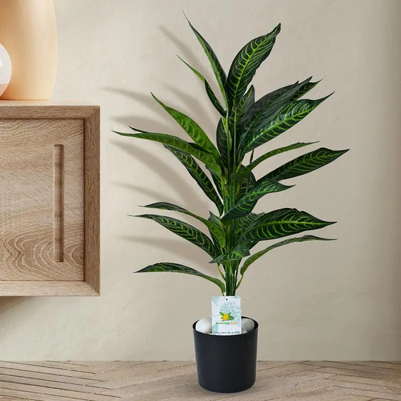 Faux Everlasting Green Iceton Croton Plant With Black Plastic Pot - 71 cm (2.3 ft) media 3