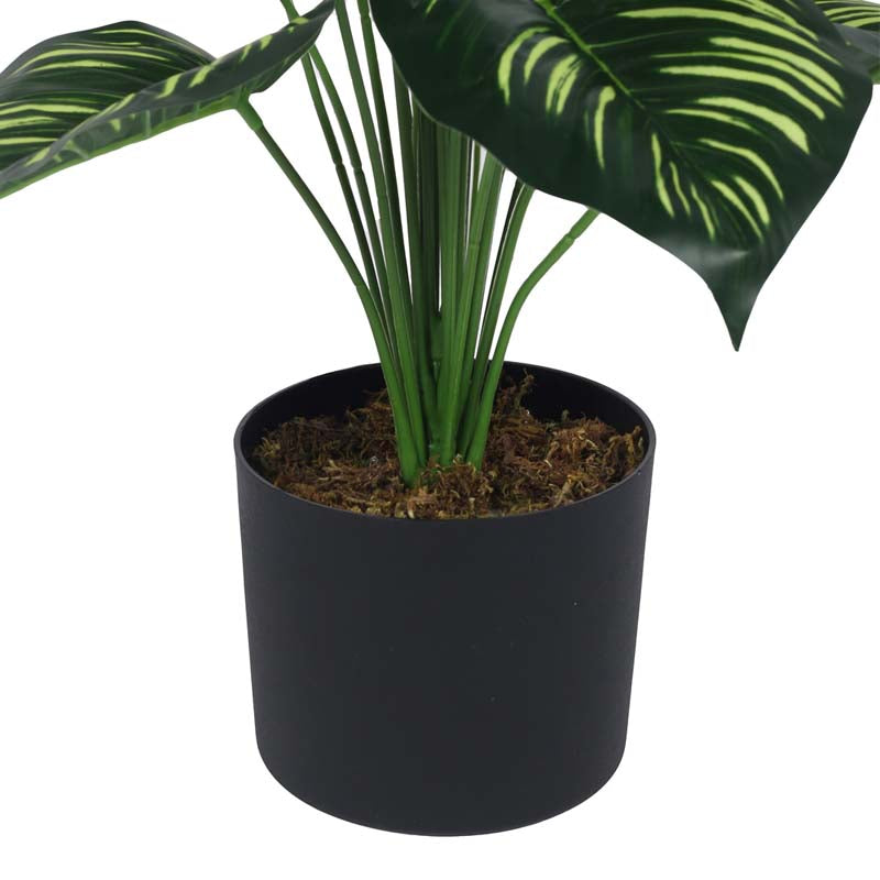 Faux Lush Peperomia Plant With Black Plastic Pot - 2.6 Feet media 6