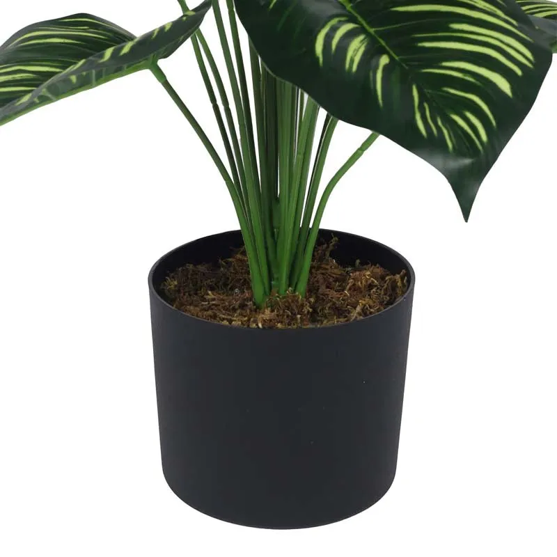 Faux Lush Peperomia Plant With Black Plastic Pot - 2.6 Feet media 6