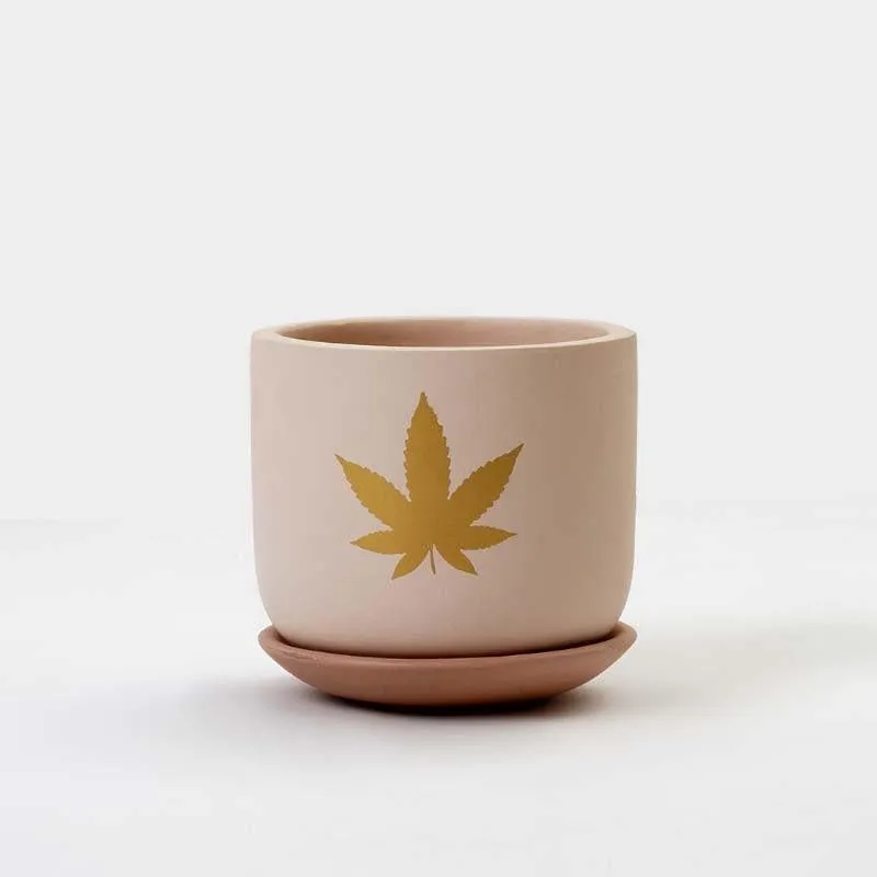 Gold Leaf Planter media 7