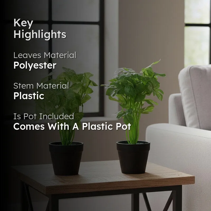 Neonix Monstera Artificial Plant With Plastic Pot - 0.8 Feet media 2