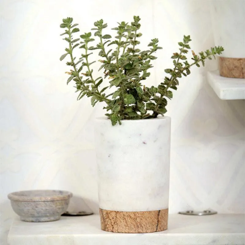 Plant Buddy Hand Crafted Marble Planter - Big media 3