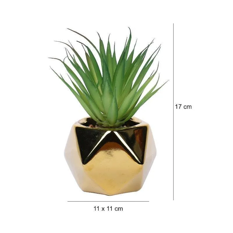 Faux Haworthia In Gold Ceramic Pot - 16 cms media 4