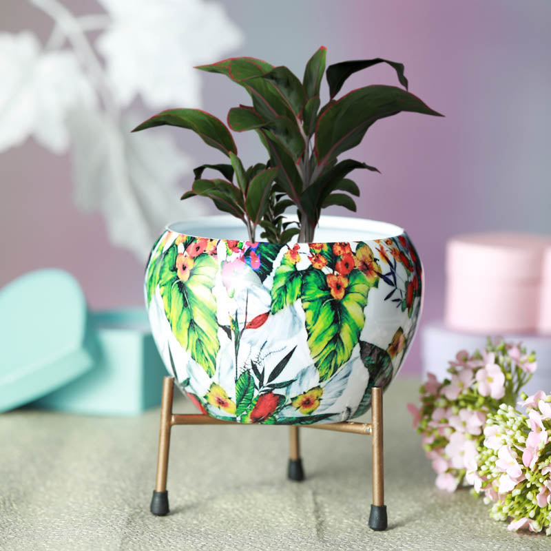 Tropical Tweet Handcrafted Planter With Stand - Four Piece Set media 15