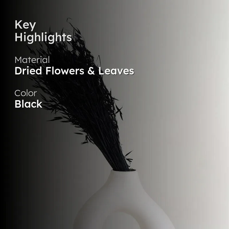 Hazo Millet Grass Dried Havana Grass Bunch - Black media 2