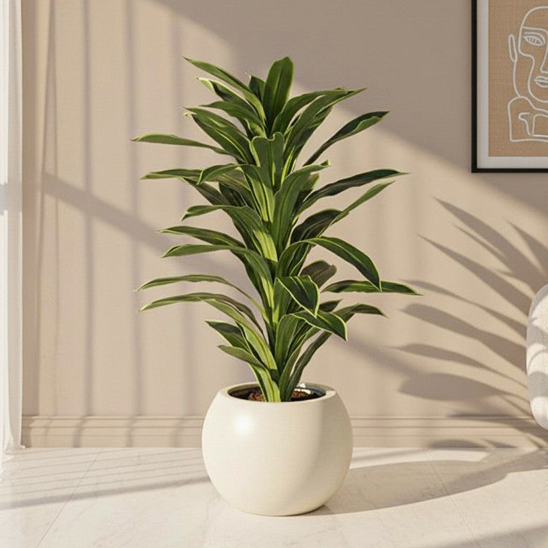 4.6 ft Everlyn Artificial Dracaena Plant With Black Fiber Pot - 4.59 Feet