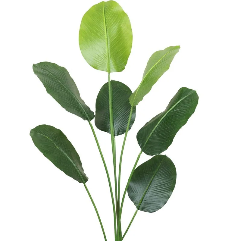 Artificial Calathea Plant With Black Fiber Pot - 4.8 Feet media 4
