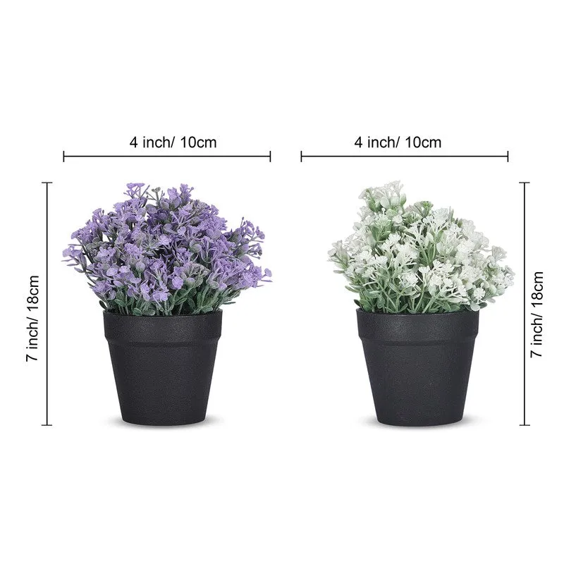 Artificial Flowers With Black Plastic Pot - Set Of Two media 7