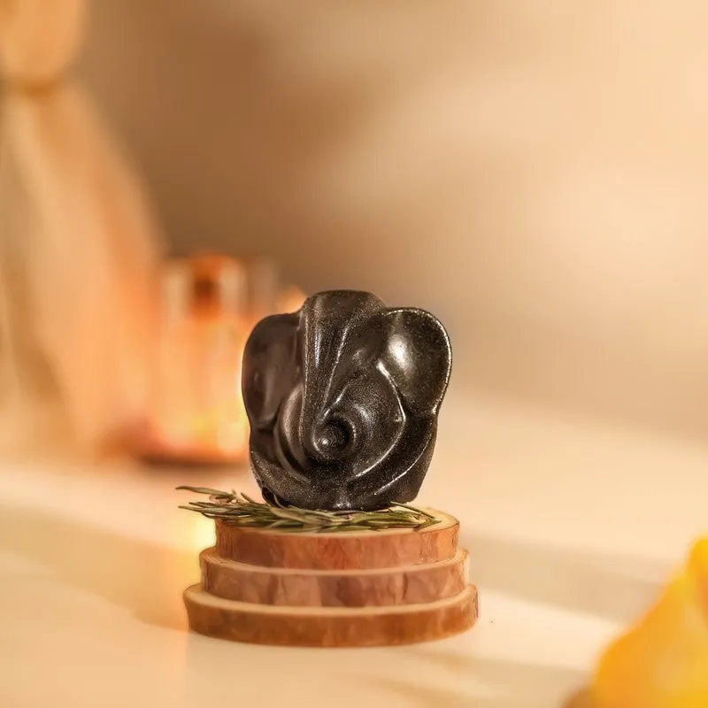 Vakratunda Stone Divine Idol media 8