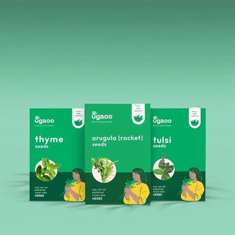 Ugaoo Herb Seeds (Arugula, Thyme, Tulsi) - Set Of Three media 1