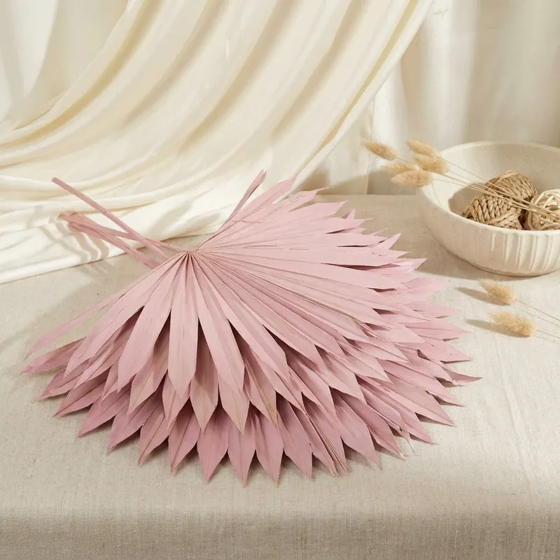 (Pink) Sun Palm Spear (20 cms) - Set Of Five Stems media 1