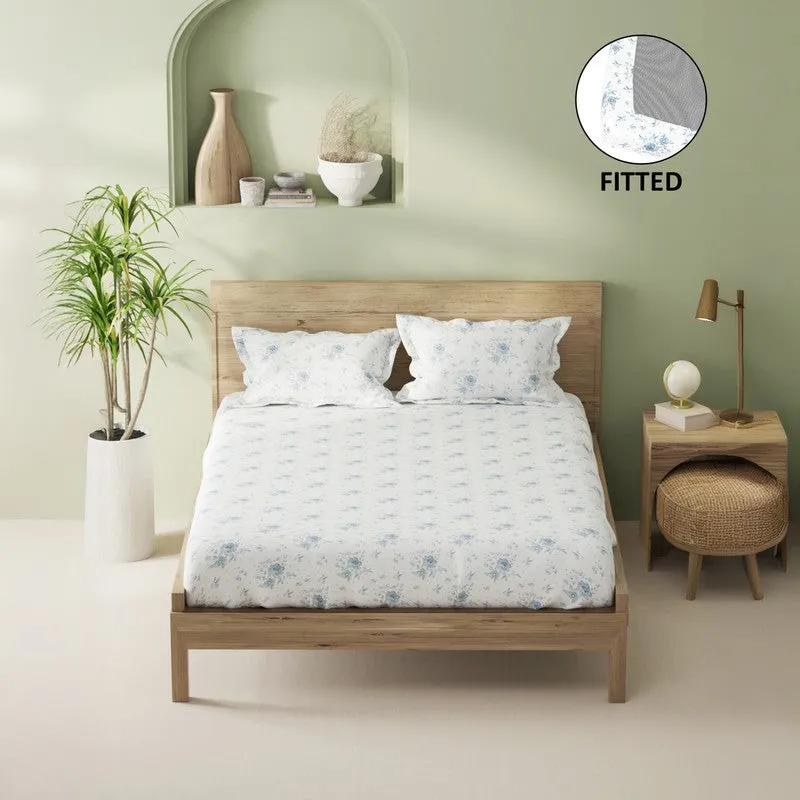 Novira Fitted Cotton Bedsheet (Blue) - 144 TC media 3