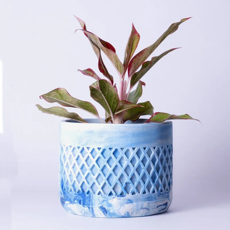 Diemona Planter - Blue media 5