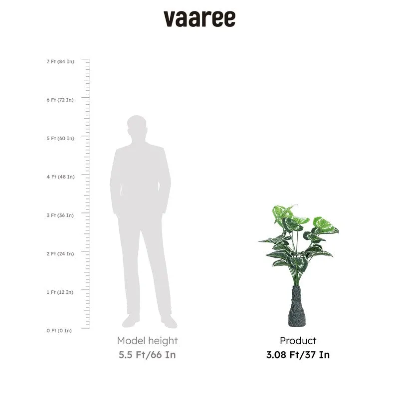 Infinita Artificial Money Plant III With Black Plastic Pot (White, Green) - 3 Feet media 6