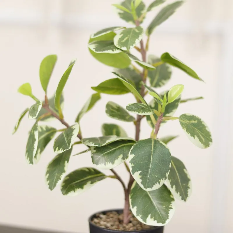 Artificial Green Quercus Leaf Small Plant With Black Fiber Pot - 1 Feet media 6