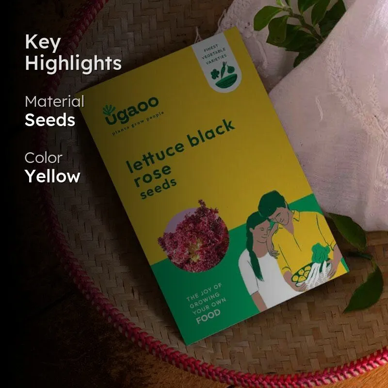 Ugaoo Lettuce Black Rose Seeds media 2