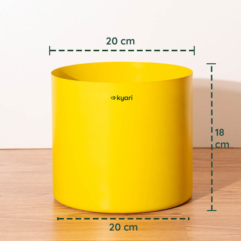 Kyari Zen Yellow Metal Planter media 5