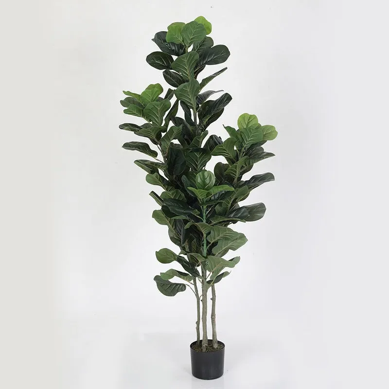 Faux Fiddle Fig Tree With Black Plastic Pot - 5.9 Feet media 4