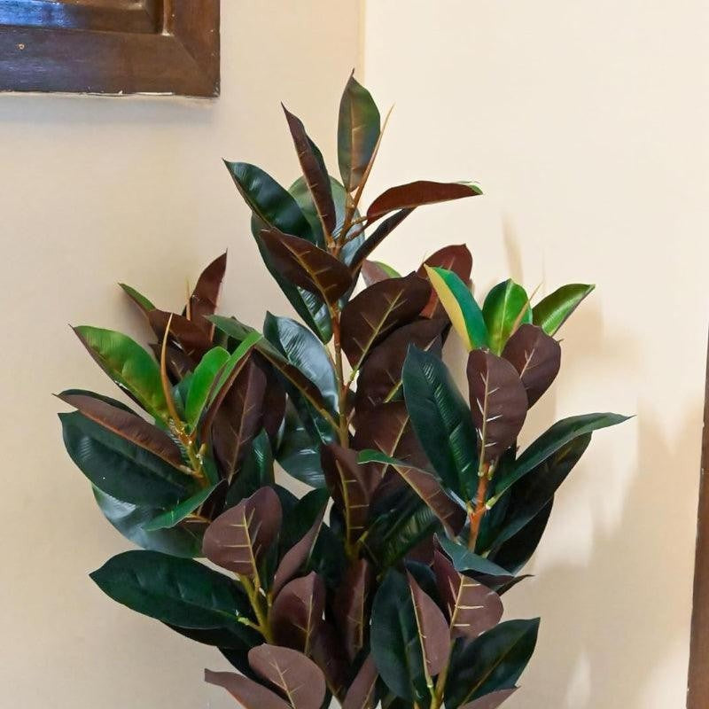 Faux Deco Red Rubber Plant With Black Plastic Pot - 2.79 ft media 5