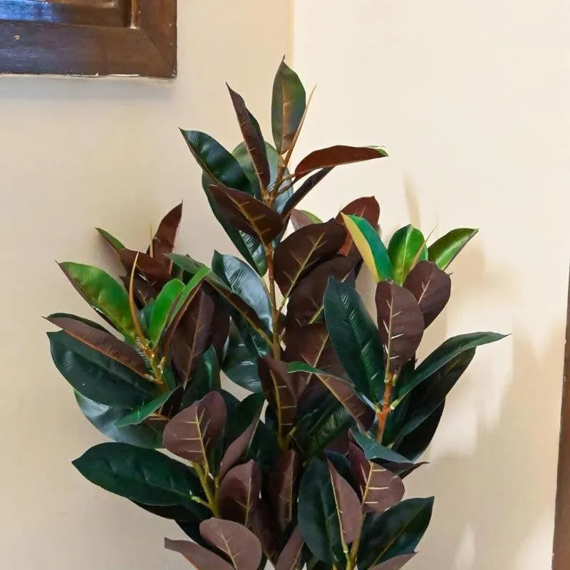 Faux Deco Red Rubber Plant With Black Plastic Pot - 2.79 ft media 5