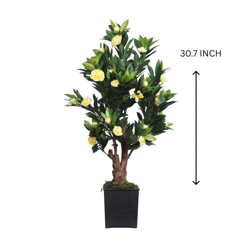 Artificial Yellow Camelia Rose Plant With Black Fiber Pot - 2.6 Feet media 5