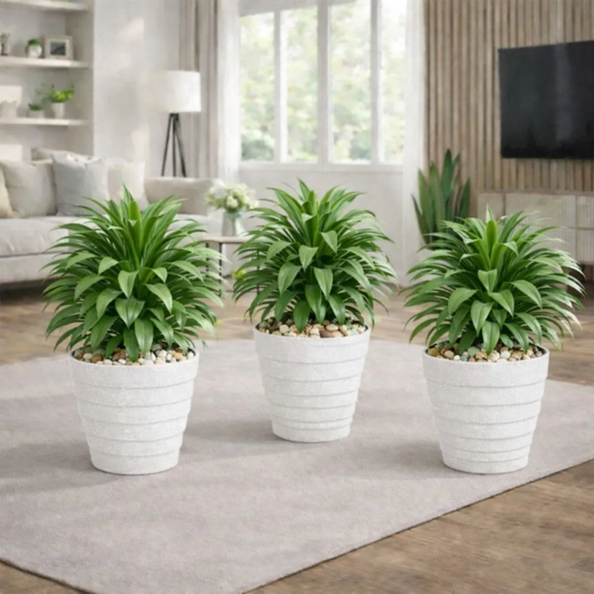 Three white ribbed planters displayed with green plants in a bright living room