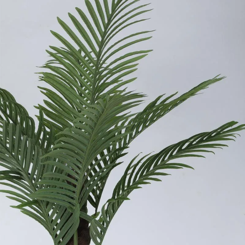 Faux Tall Feather Palm Plant With Black Plastic Pot - 6.56 ft media 7