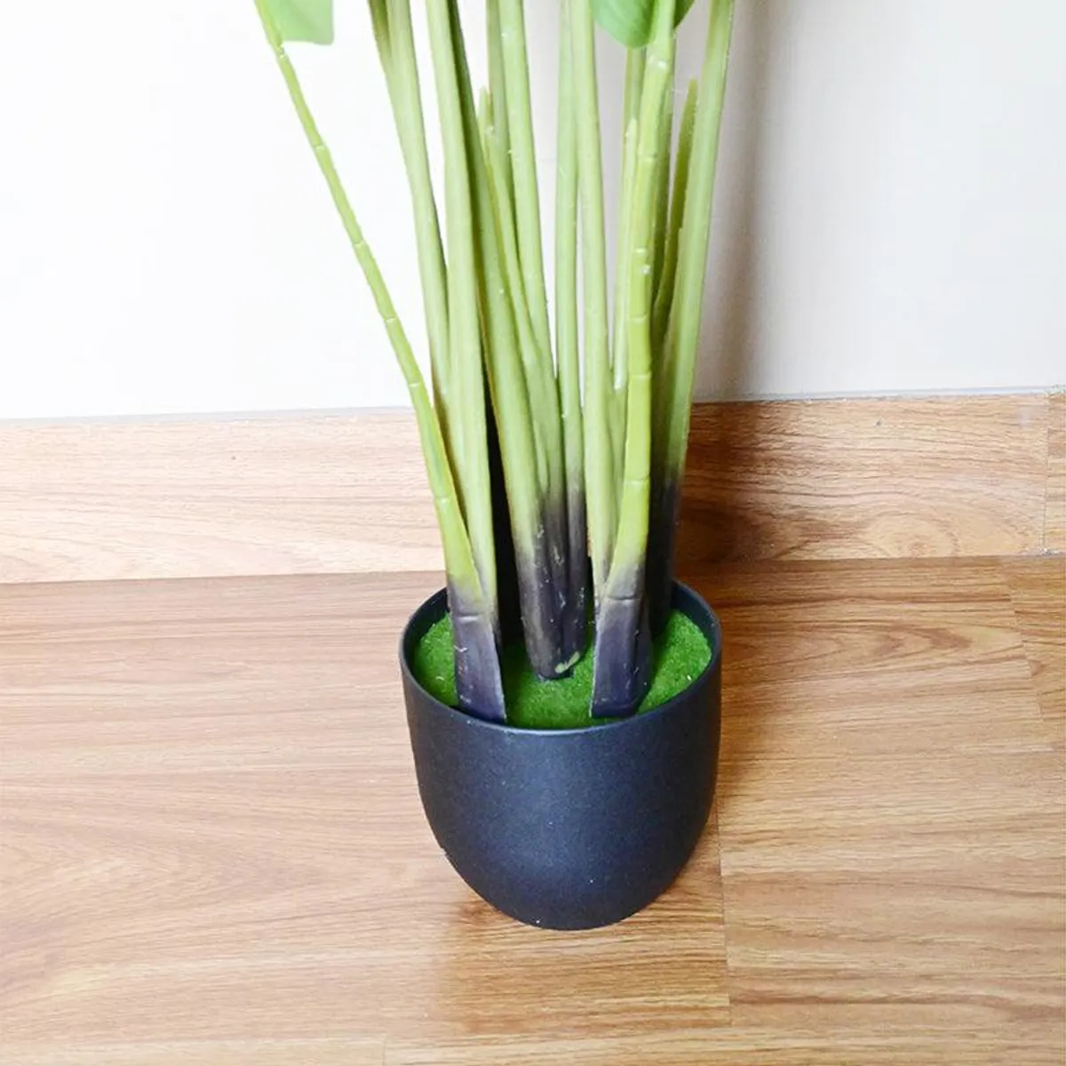 Close-up of green stems arranged in a black plastic pot