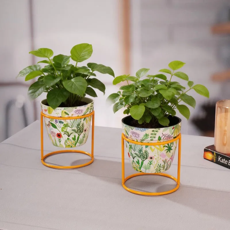 Glaze & Grow Metal Planters With Stand - Four Piece Set media 7
