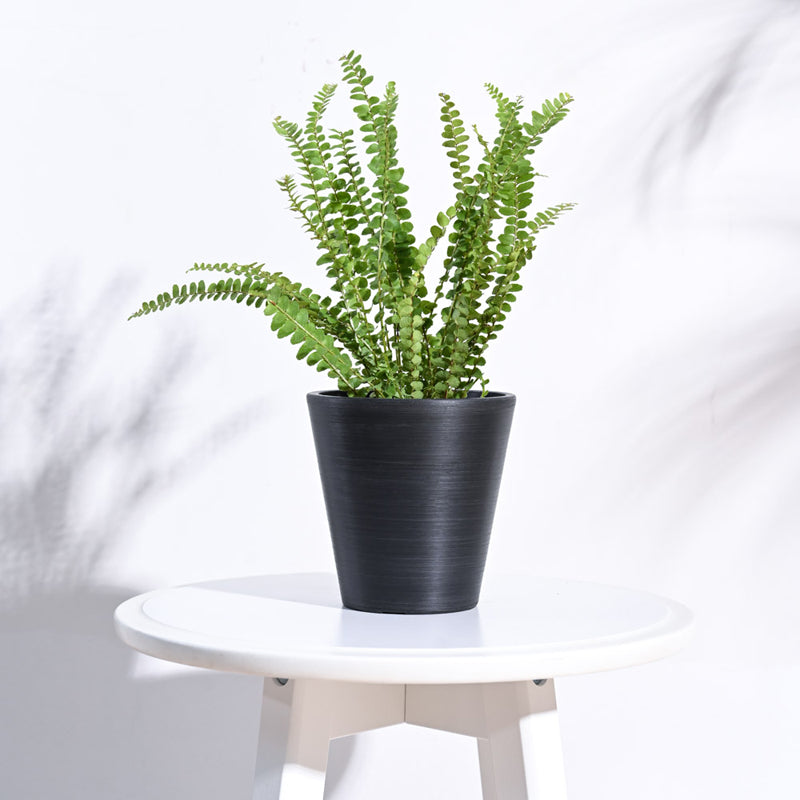 UGAOO Venice Planter for Home & Balcony Garden- Black media 3