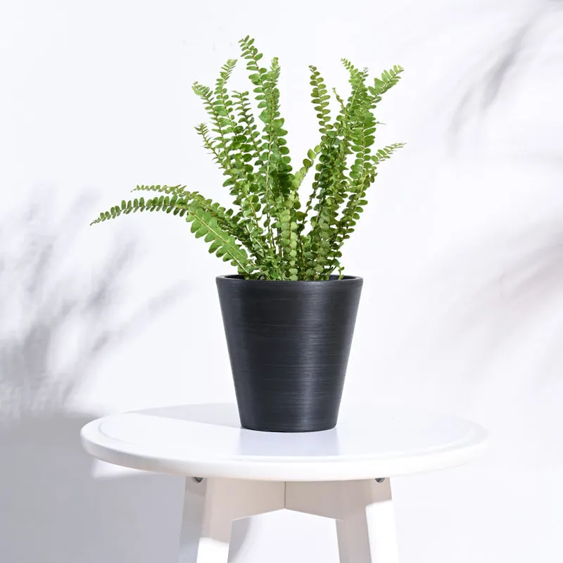 UGAOO Venice Planter for Home & Balcony Garden- Black media 3