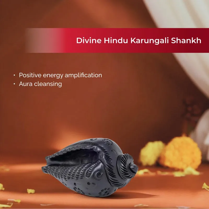 Shankhnaad Ebony Wood Idol media 5