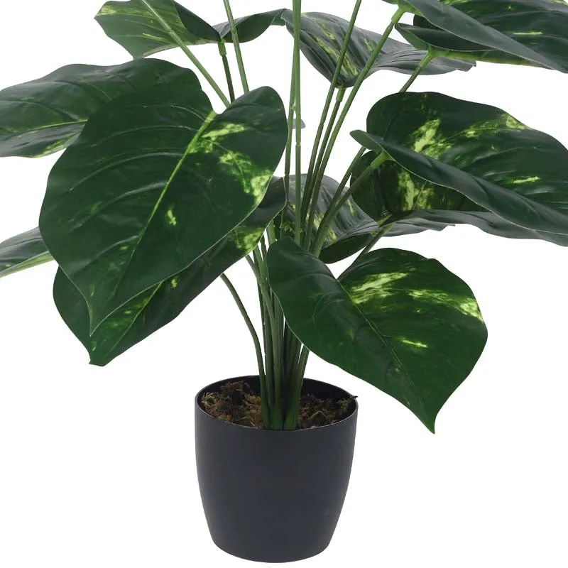Faux Lush Pothos Plant With Black Plastic Pot - 2.3 Feet media 6