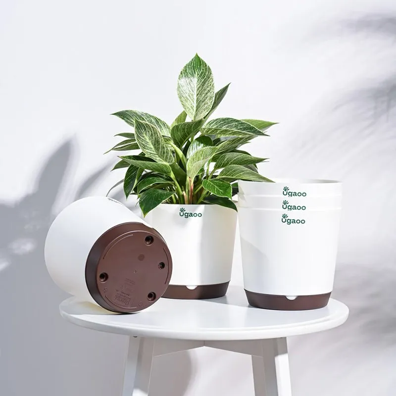 Ugaoo Mossy Bottom Plastic Planter (White) - Set Of Five media 2