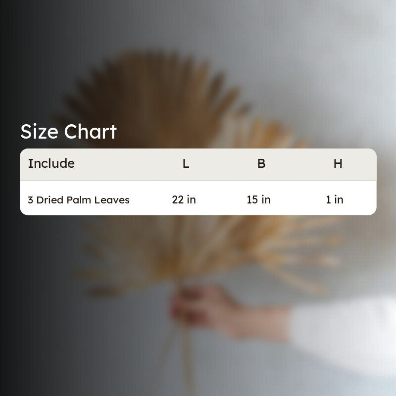 Ineeya Dried Sun Palm Sticks (Gold) - Set Of Three media 6