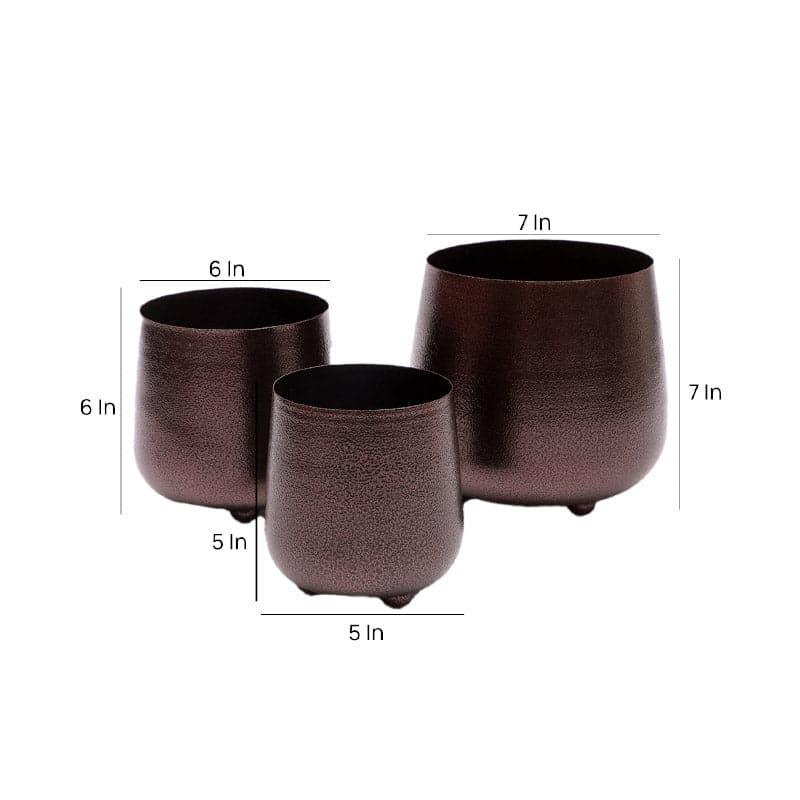 Shrina Shae Planter - Set Of Three media 6