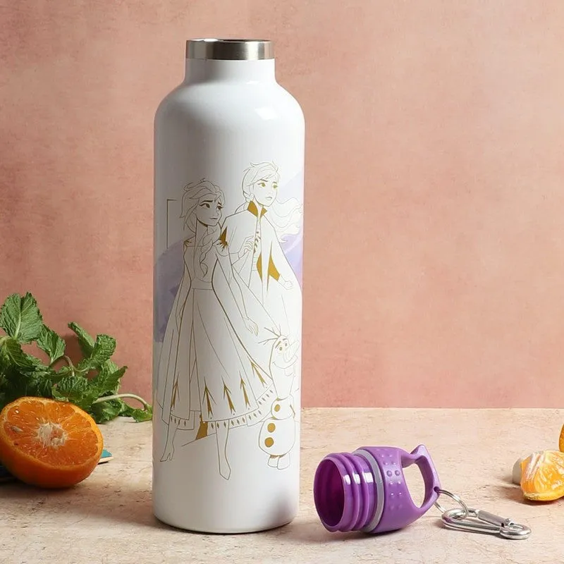 Frozen Magna Insulated Bottle - 1000 mL media 3