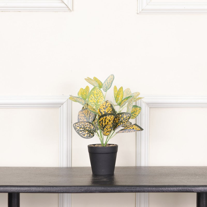 Artificial Dotted Philodendron Plant With Black Fiber Pot (Yellow) - 0.9 Feet media 3