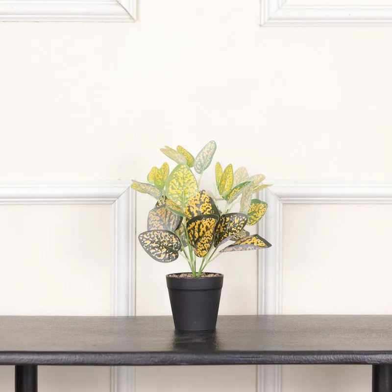 Artificial Dotted Philodendron Plant With Black Fiber Pot (Yellow) - 0.9 Feet media 3